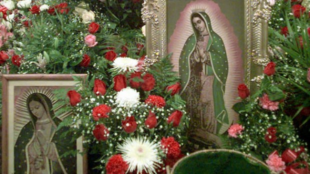 Video: Festejan a la morena del Tepeyac