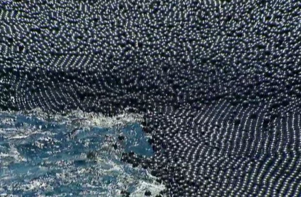 Cubren inmenso embalse con pelotas negras en LA
