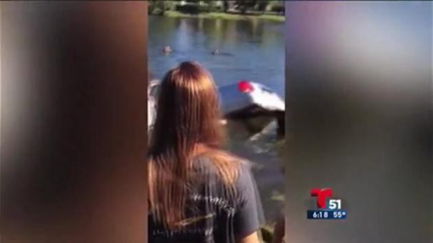 Anciano rescatado cuando su auto se hundía en lago
