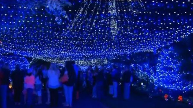 Récord mundial de iluminación navideña