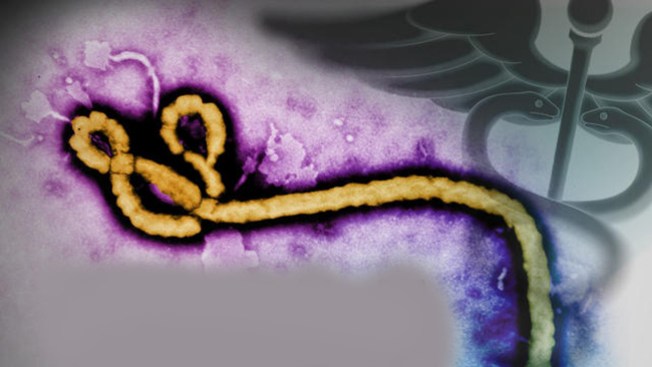Así se contagia el virus del ébola